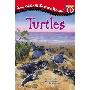 Turtles (平装)