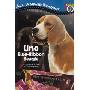 Uno: Blue-Ribbon Beagle (平装)