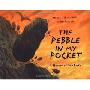The Pebble in my Pocket: A History of Our Earth (精装)