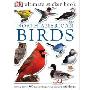 North American Birds: DK ultimate sticker book, More than 60 Reusable Full-color Stickers (平装)