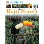 Rain Forest (精装)