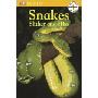Snakes Slither And Hiss (平装)