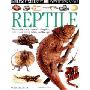 Reptile (精装)