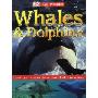 Whales & Dolphins (精装)