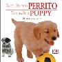 Toca Y Aprende Perrito/Touch and Feel Puppy (木板书)