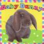 Baby Bunny (浴室书)