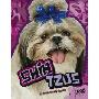 Shih Tzus (图书馆装订)
