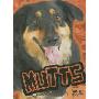 Mutts (图书馆装订)