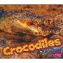 Crocodiles (图书馆装订)