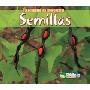 Semillas = Seeds (平装)