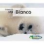 Blanco = White (图书馆装订)