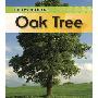 Oak Tree (平装)