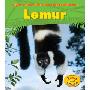 Lemur (平装)