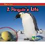 A Penguin's Life (平装)