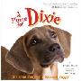 A Home for Dixie: The True Story of a Rescued Puppy (精装)