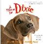 A Home for Dixie: The True Story of a Rescued Puppy (平装)