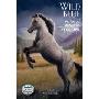 Wild Blue: The Story of a Mustang Appaloosa (平装)