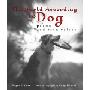 The World According to Dog (平装)
