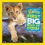 National Geographic Little Kids First Big Book of Animals (精装)