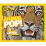 Animal Pop!: With 5 Incredible, Life Size Fold-Outs (平装)