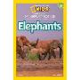 National Geographic Readers: Great Migrations Elephants (平装)