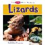 The Pebble First Guide to Lizards (图书馆装订)