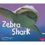 Zebra Shark (精装)