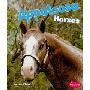 Appaloosa Horses (图书馆装订)
