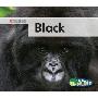 Black (平装)