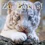 Zooborns!: Zoo Babies from Around the World (精装)