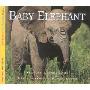 Baby Elephant (平装)