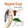 Biggest Bugs Life-Size (精装)