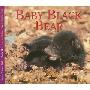 Baby Black Bear (平装)