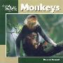 Monkeys -OSI (平装)