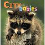 City Babies (木板书)