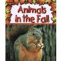 Animals in the Fall (平装)