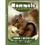 Mammals Nature Activity Book (平装)