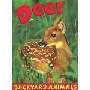 Deer (平装)