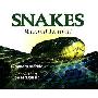 Snakes: Biggest! Littlest! (精装)
