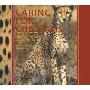 Caring for Cheetahs: My African Adventure (精装)