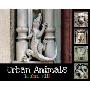 Urban Animals (平装)