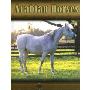 Arabian Horses (图书馆装订)