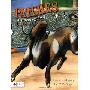 Patches, a Bucking Bull: Son of Mabel (Perfect Paperback)