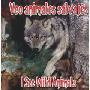 Veo Animales Salvajes/I See Wild Animals (木板书)