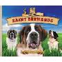 Super Saint Bernards (图书馆装订)