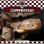 Copperheads (图书馆装订)