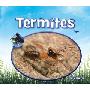 Termites (图书馆装订)