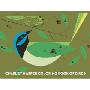 Charley Harper Coloring Book of Birds (平装)