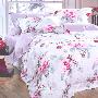 裴罗莱新款七彩丝丝棉提花床上用品全棉四件套lf63