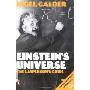 Einstein's Universe: The Layperson's Guide (平装)